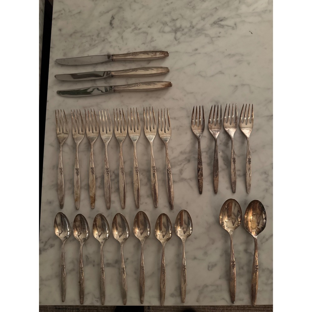 Oneida Community Enchantment Gentle Rose Silverplate Flatware 23 Piece Set 1960